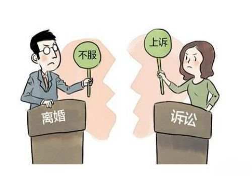 绍兴侦探：涉外离婚孩子抚养权归国内一方抚养吗